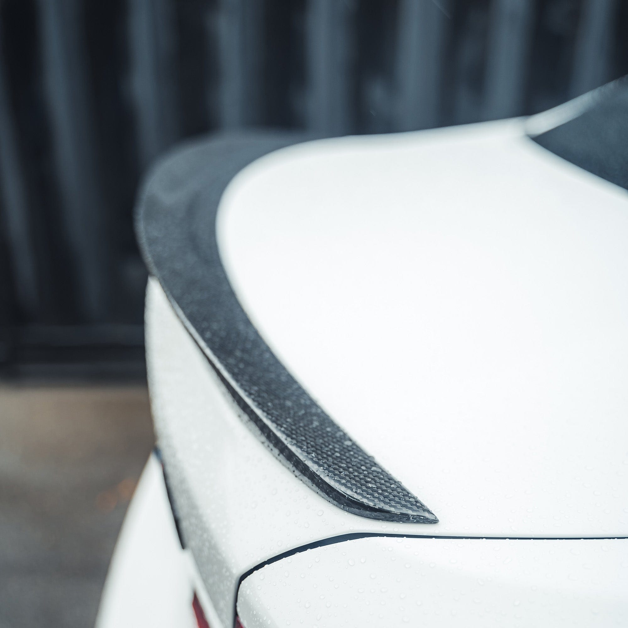 BMW M2 F87 M2C F22 carbon fiber spoiler by CT Carbon, showing sleek, lightweight aerodynamic design on the car's rear.