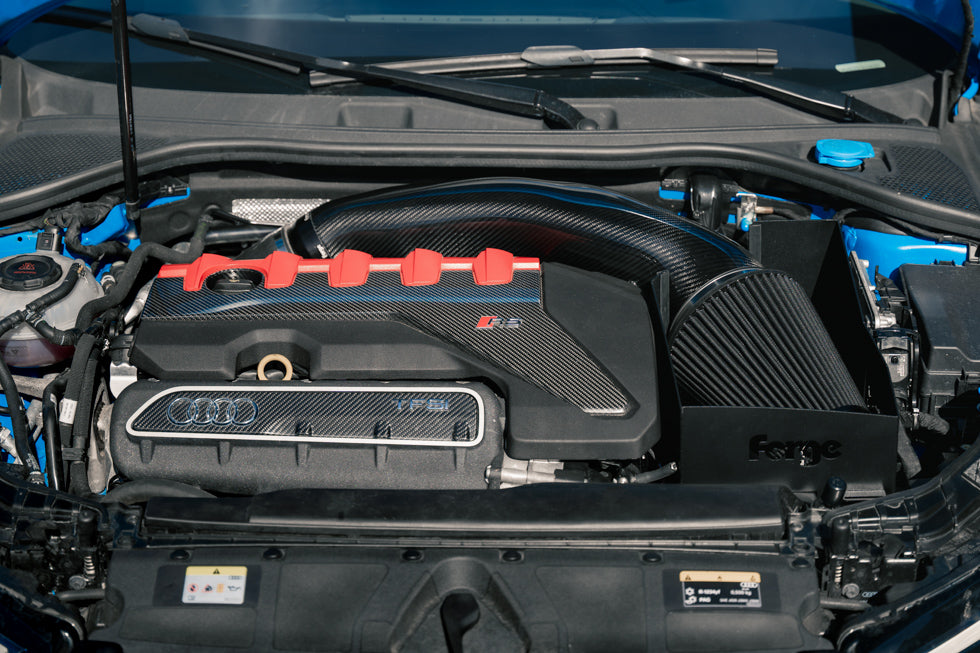 Forge - Carbon Fibre Induction Kit for Audi RS3 8Y/8V - Nineteen72 Performance