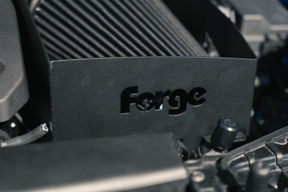 Forge - Carbon Fibre Induction Kit for Audi RS3 8Y/8V - Nineteen72 Performance