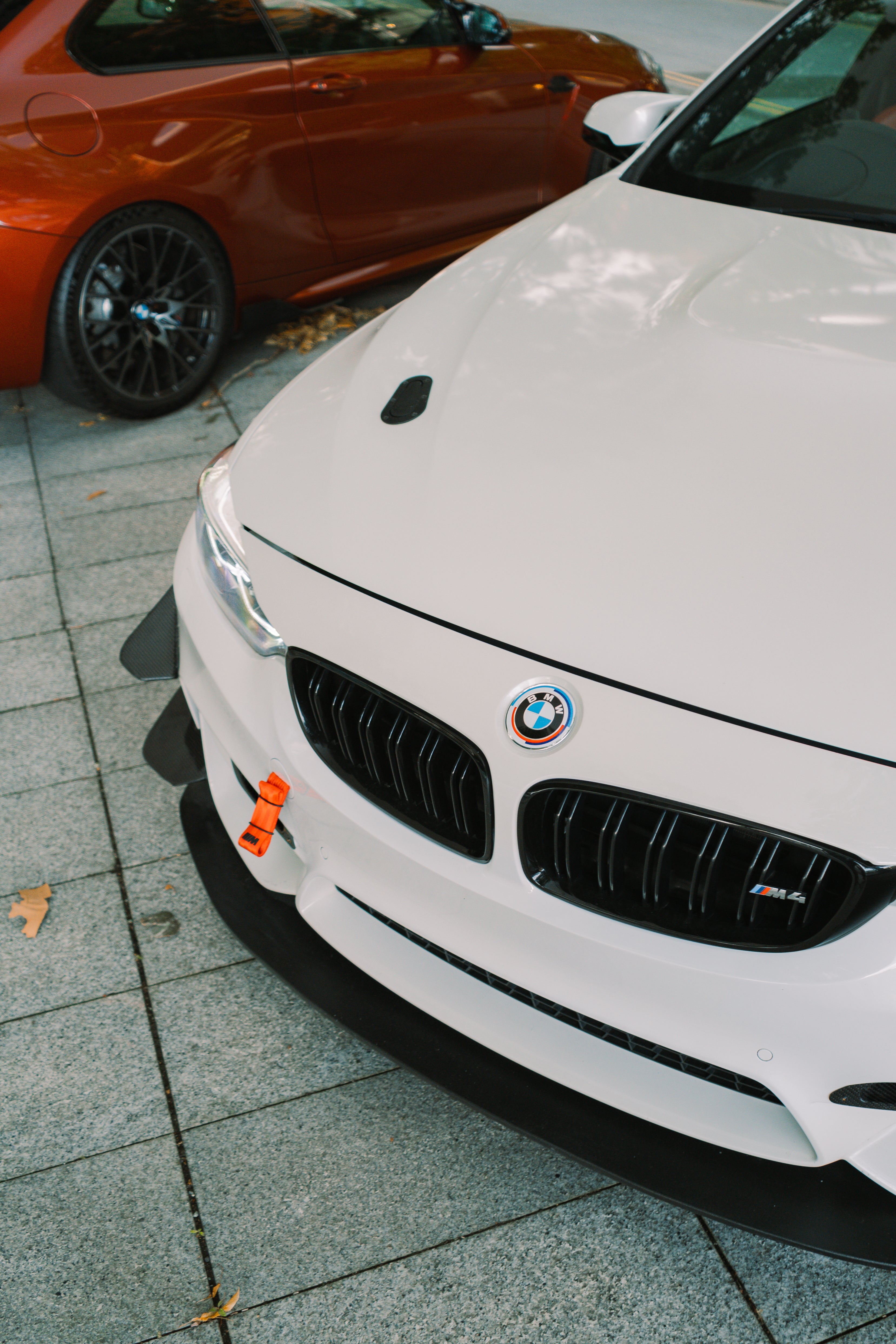 Carbon GT4 Side Canards for BMW M3 & M4 F80/F82 - Nineteen72 Performance