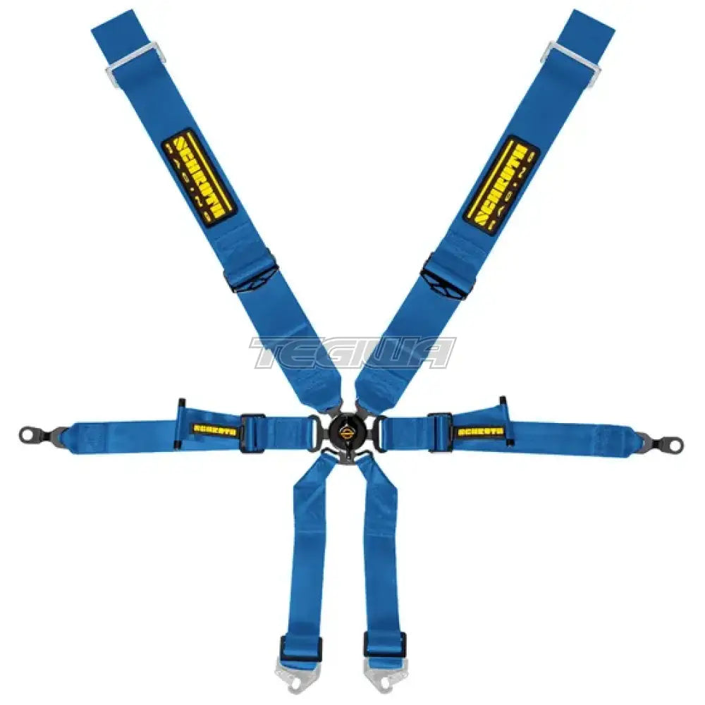 Schroth 6 Point 3x2 OEM Porsche 991 Harness - Nineteen72 Performance