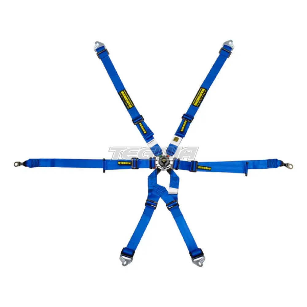 Schroth FHR 6 Point 2x2 OEM Porsche 996/997 Profi Harness - Nineteen72 Performance