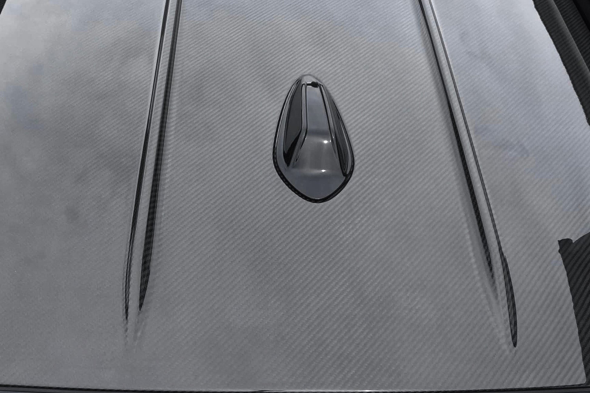 ALPHA-N Carbon Roof for M3 (G81) - Nineteen72 Performance