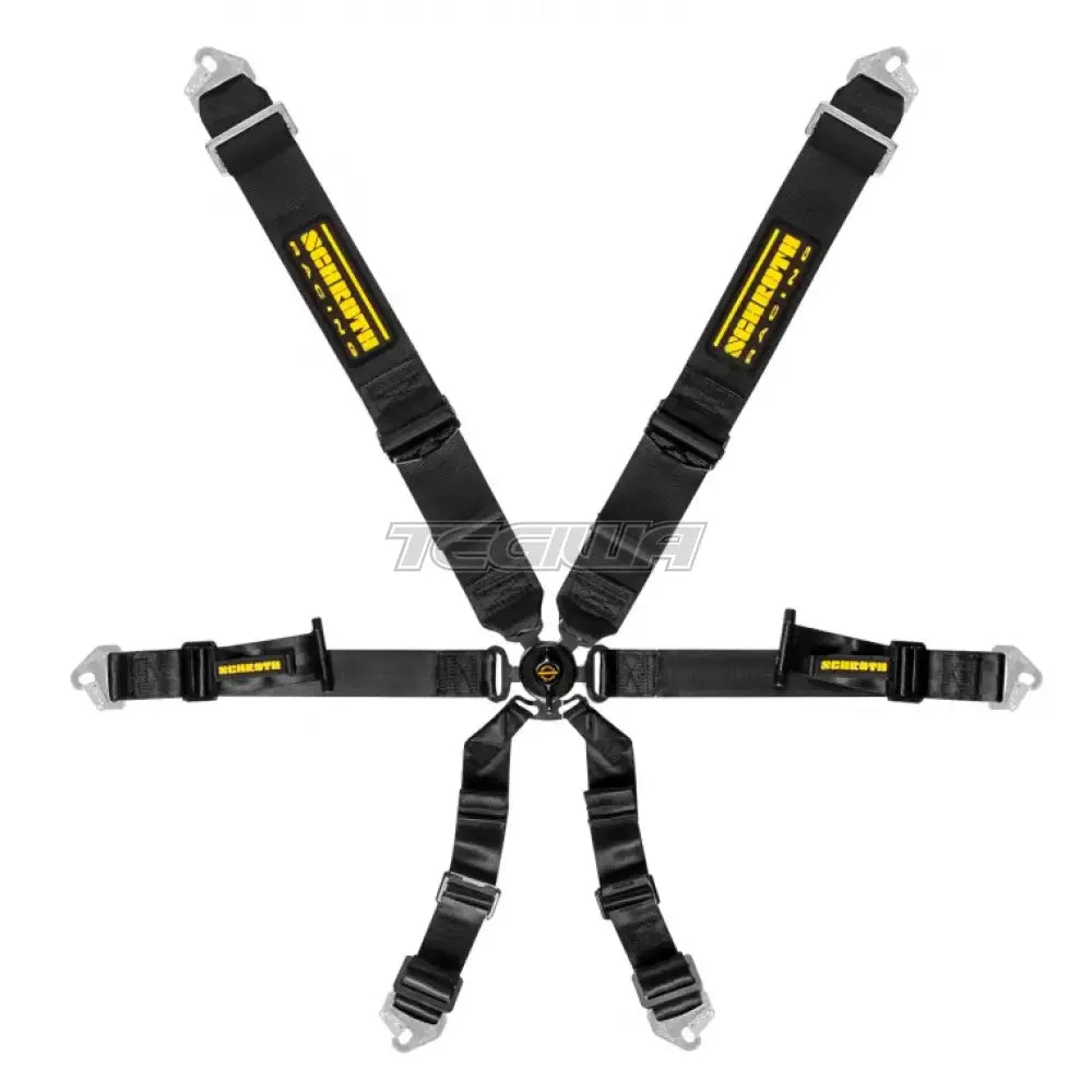 Schroth 6 Point Pull Up Profi Harness - Nineteen72 Performance