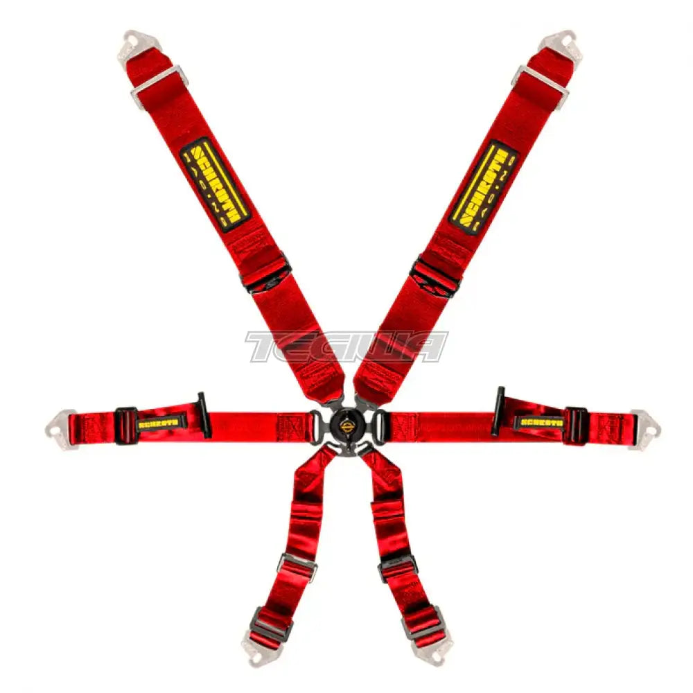 Schroth 6 Point Pull Up Profi Harness - Nineteen72 Performance
