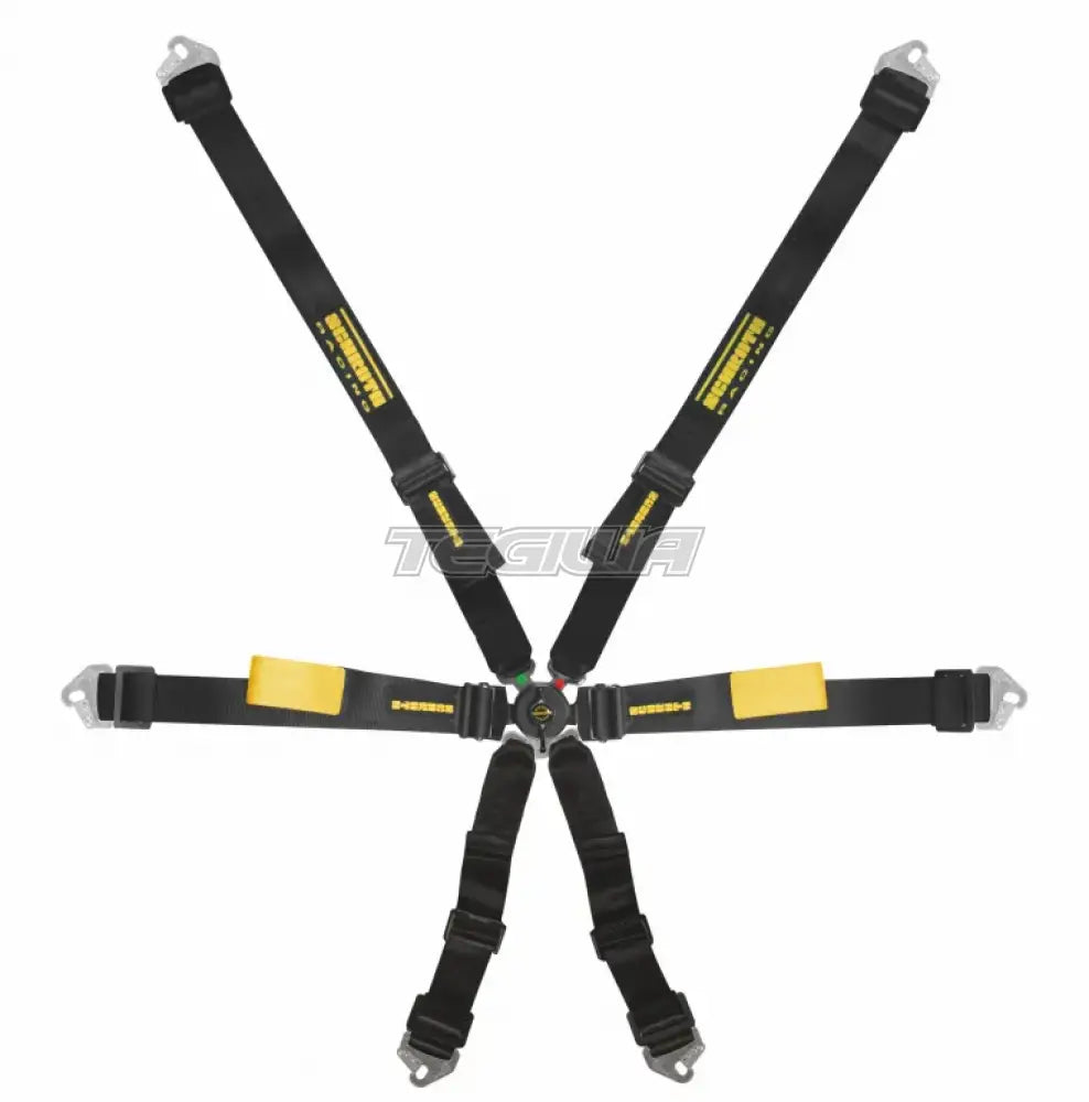 Schroth FHR 6 Point 2x2 Enduro Harness - Nineteen72 Performance