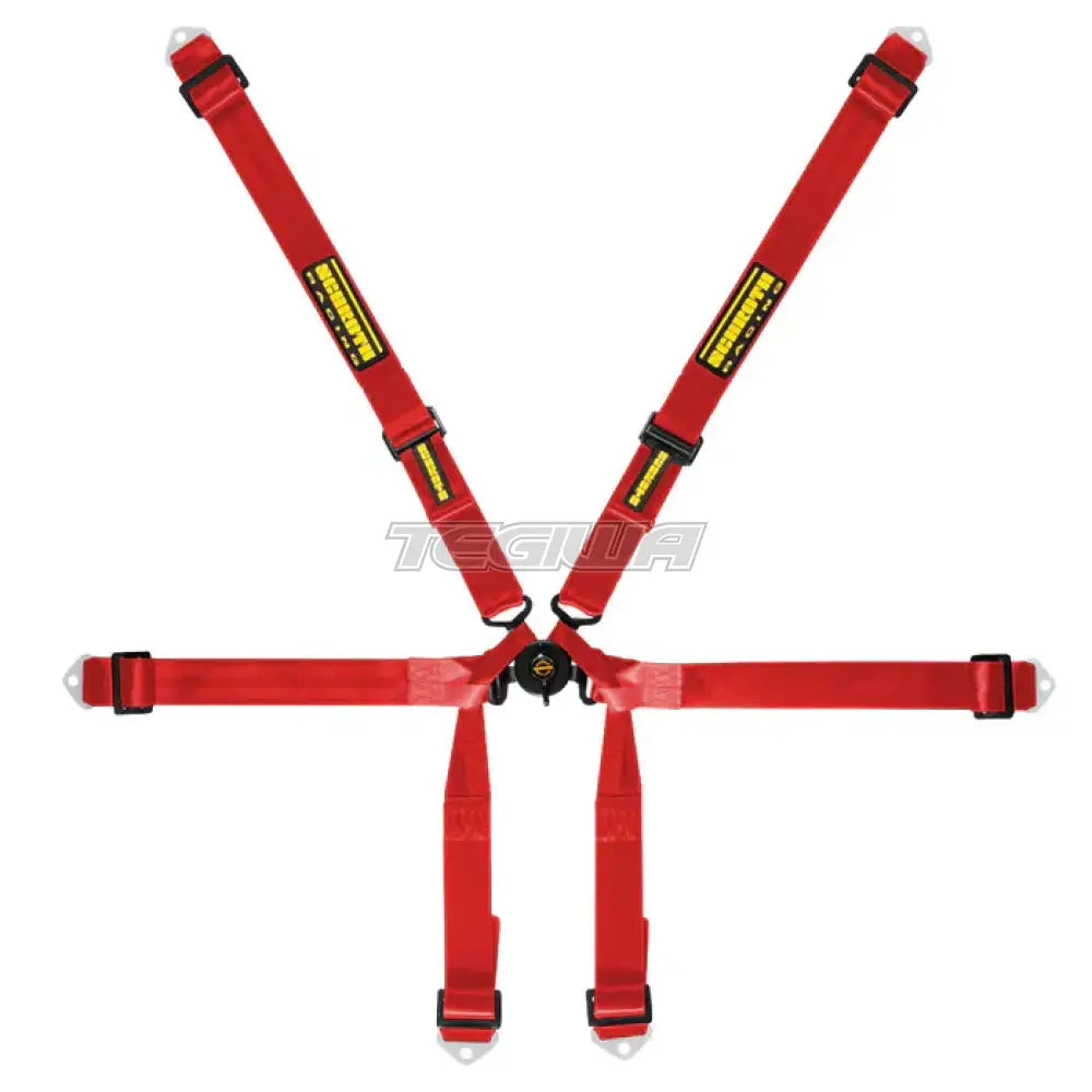 Schroth FHR 6 Point 2x2 Formula Harness - Nineteen72 Performance