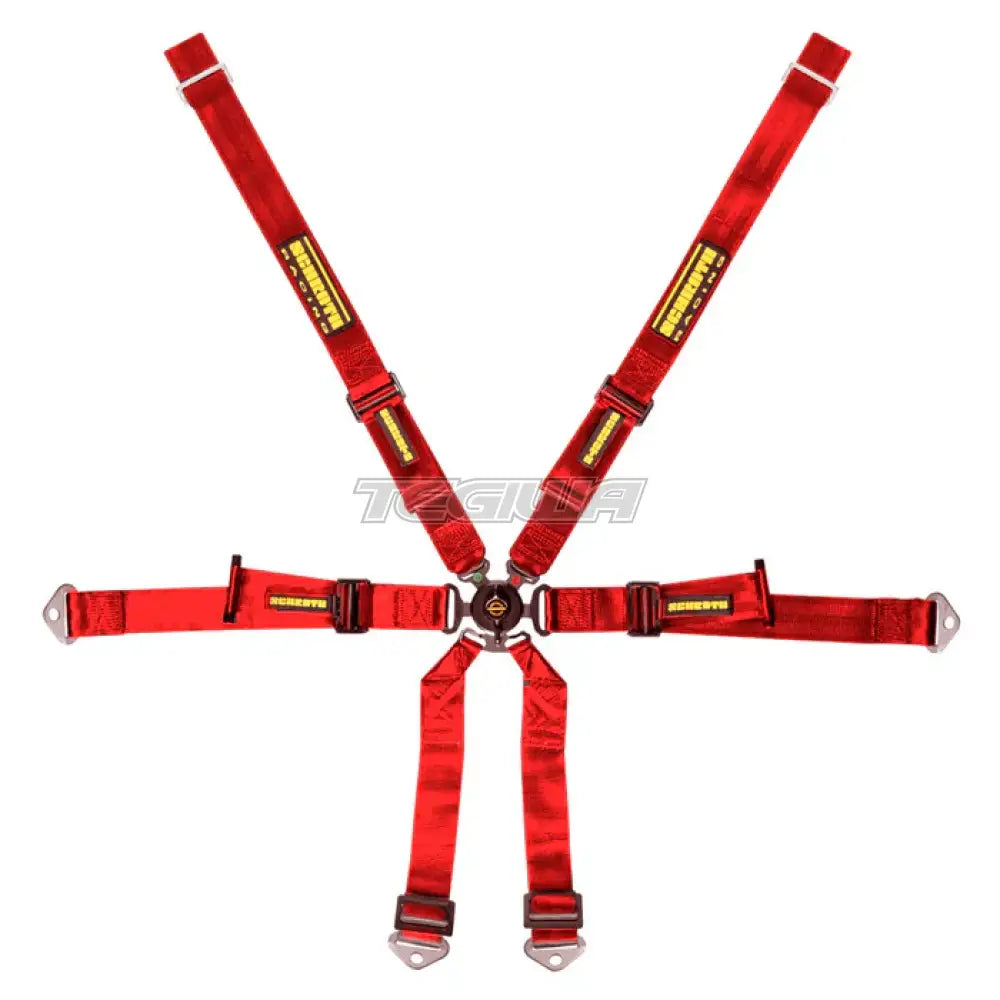 Schroth FHR 6 Point 2x2 OEM Porsche 991 Profi Harness - Nineteen72 Performance