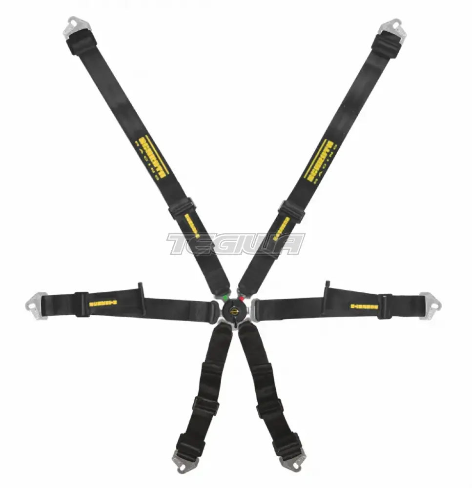 Schroth FHR 6 Point 2X2 Profi Harness - Nineteen72 Performance