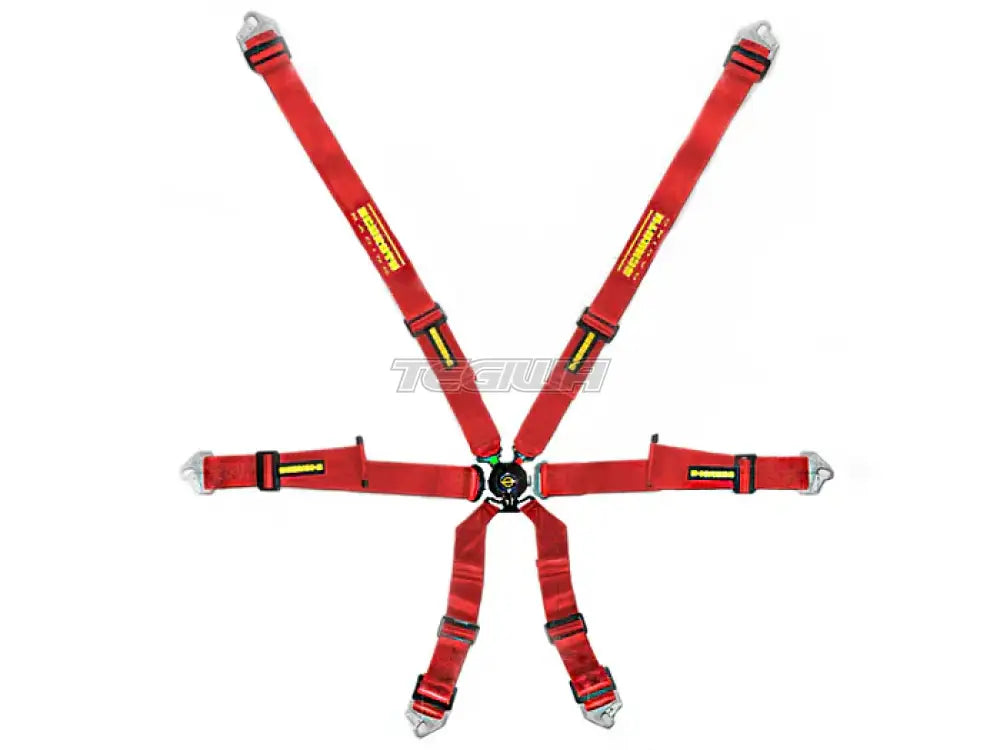 Schroth FHR 6 Point 2X2 Profi Harness - Nineteen72 Performance