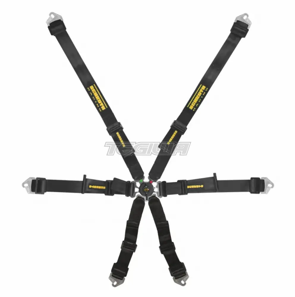 Schroth FHR 6 Point Flexi Harness - Nineteen72 Performance