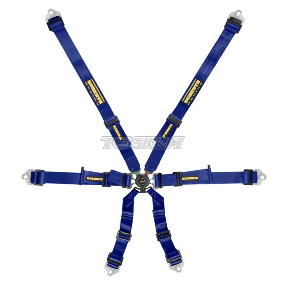 Schroth FHR 6 Point Flexi Harness - Nineteen72 Performance