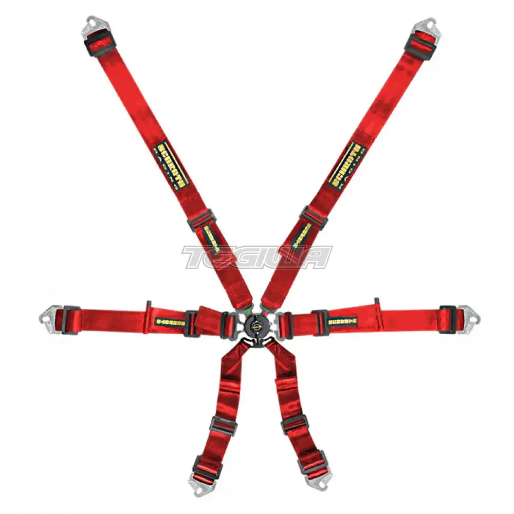 Schroth FHR 6 Point Flexi Harness - Nineteen72 Performance