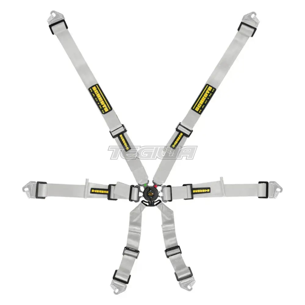 Schroth FHR 6 Point Flexi Harness - Nineteen72 Performance