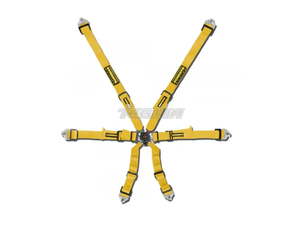 Schroth FHR 6 Point Flexi Harness - Nineteen72 Performance