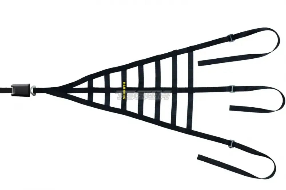 Schroth Interior Racing Driver Net - Nineteen72 Performance