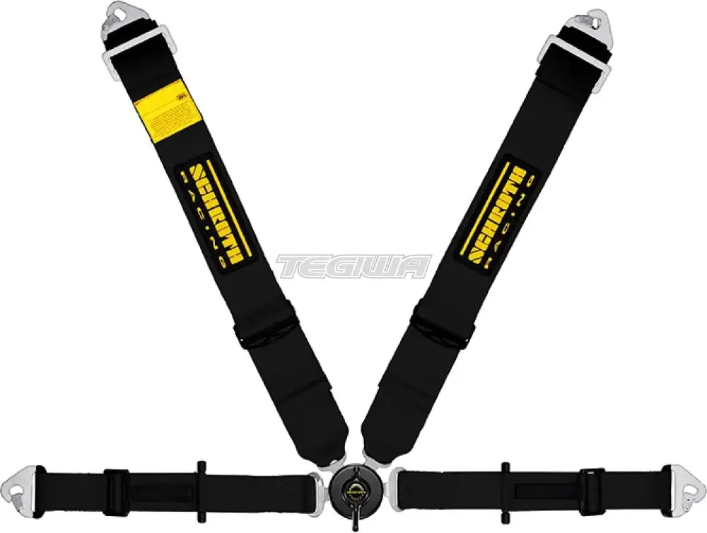 Schroth Profi II ASM Flexi Belt - Nineteen72 Performance