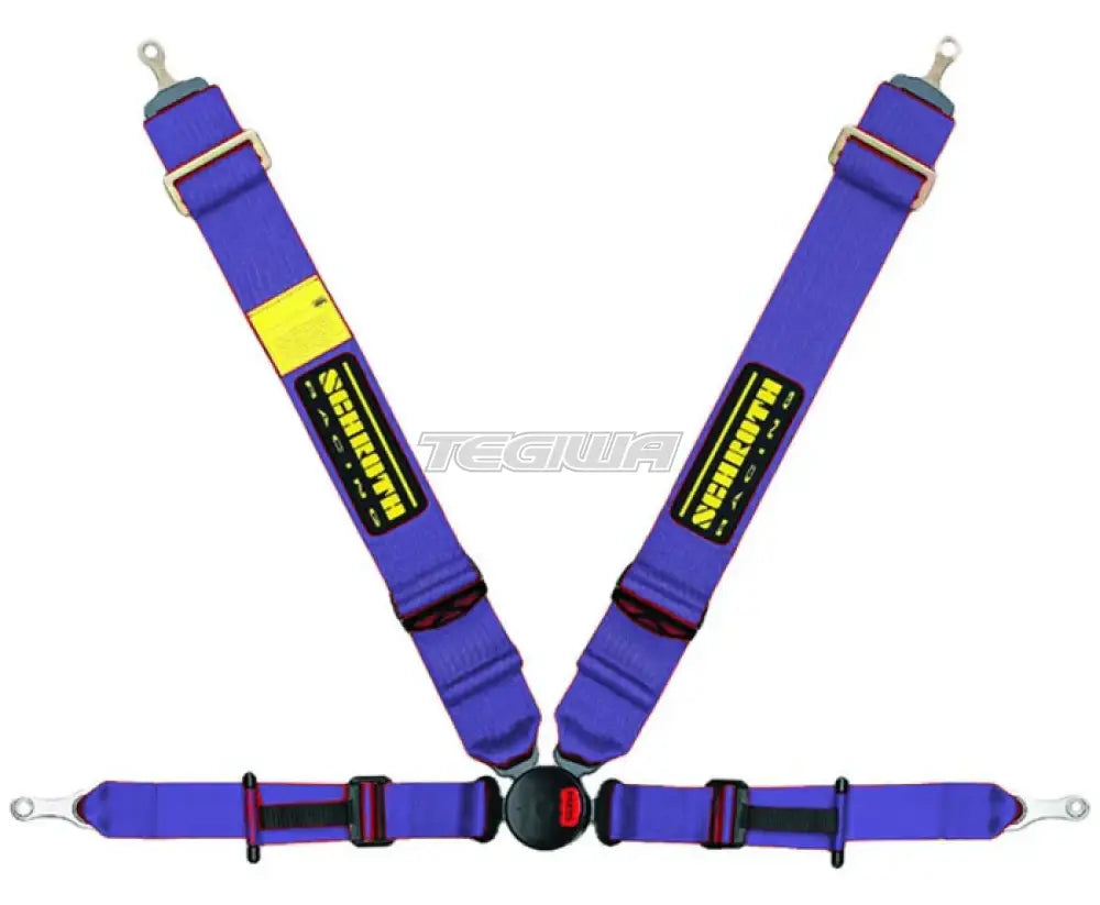 Schroth Profi II-FE ASM 4 Point Professional Restraint - Nineteen72 Performance