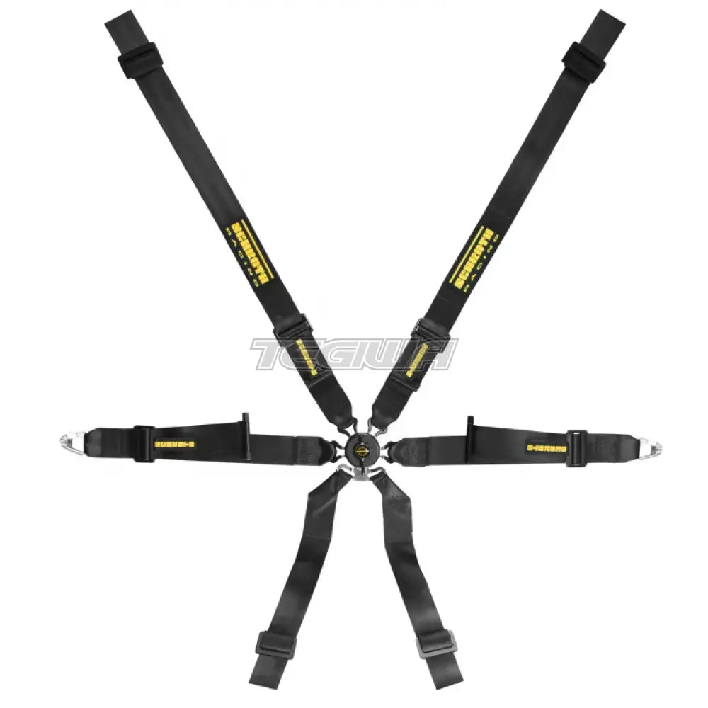 Schroth XLT 2x2 Profi Harness Black - Nineteen72 Performance