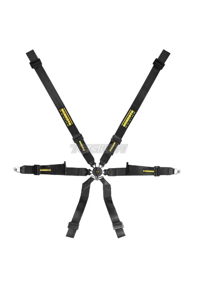Schroth XLT 2x2 Profi Harness - Nineteen72 Performance